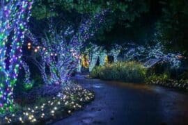 botanical garden light show