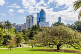 brisbane botanic gardens city