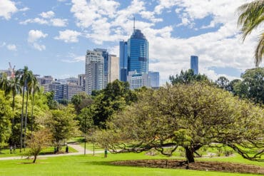 brisbane botanic gardens city