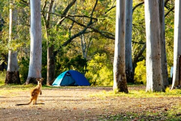 brisbane camping sites