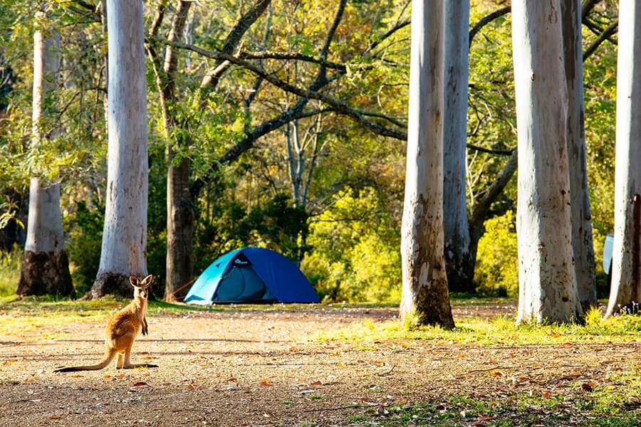 brisbane camping sites