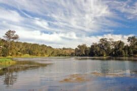 brisbane river