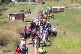 brisbane valley rail trail