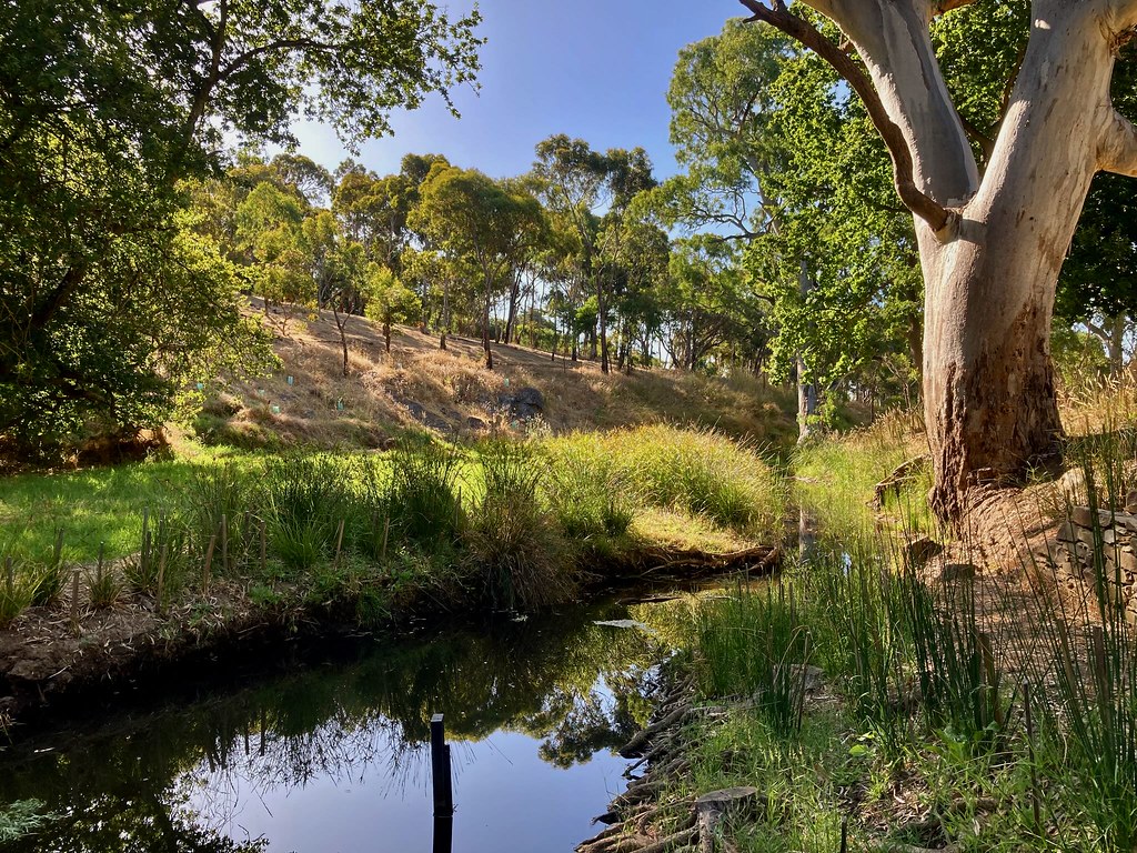 brownhill creek