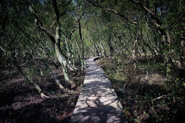 buffalo creek reserve sydney