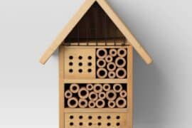 bug house