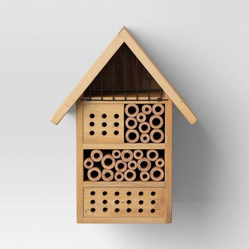 bug house