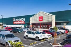 bunnings springfield