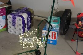 bunnings trolley sydney