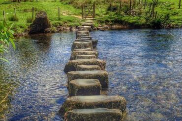 bushwalk near me