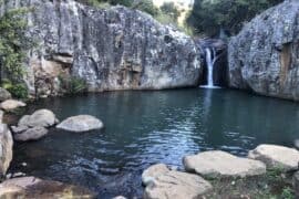 camping in gold coast