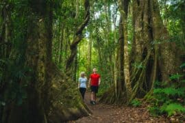 camping sites gold coast