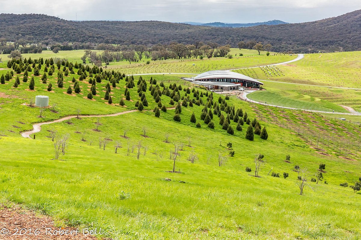 canberra national arboretum