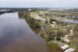 caravan parks in murray bridge south australia