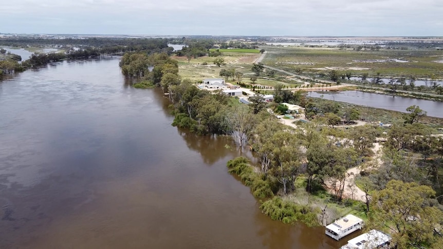 caravan parks in murray bridge south australia