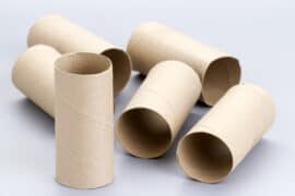 cardboard toilet rolls