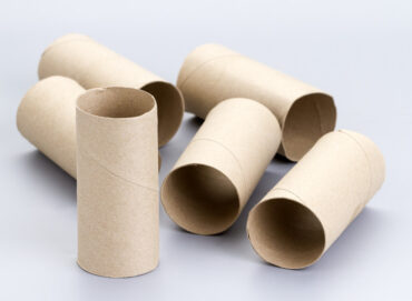 cardboard toilet rolls