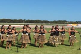 celebrating waitangi day