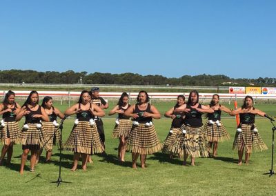 celebrating waitangi day