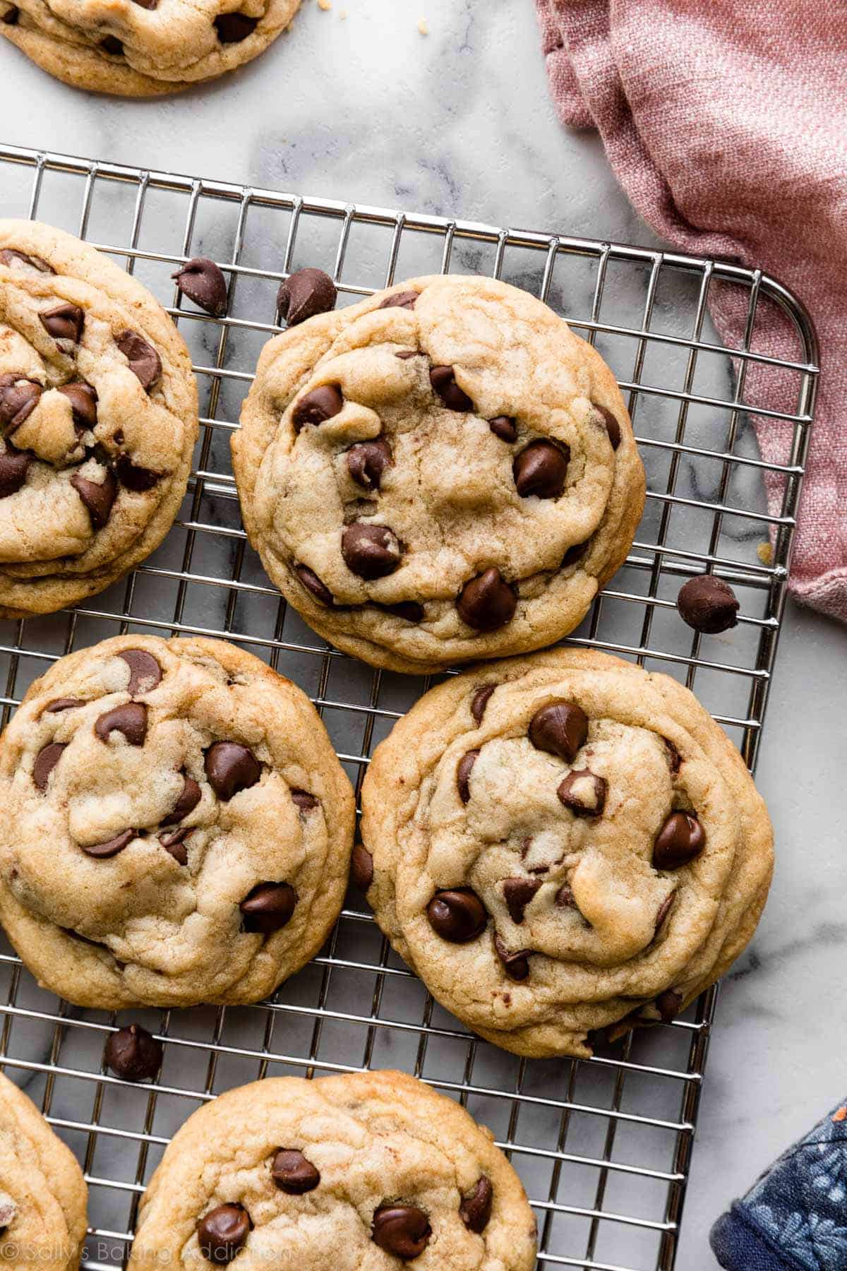 choc chip biscuits recipe