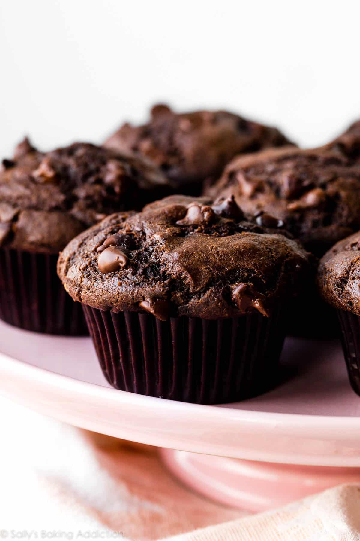 chocolate choc chip muffins