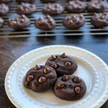 chocolate cookies nz