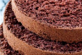 chocolate sponge cake