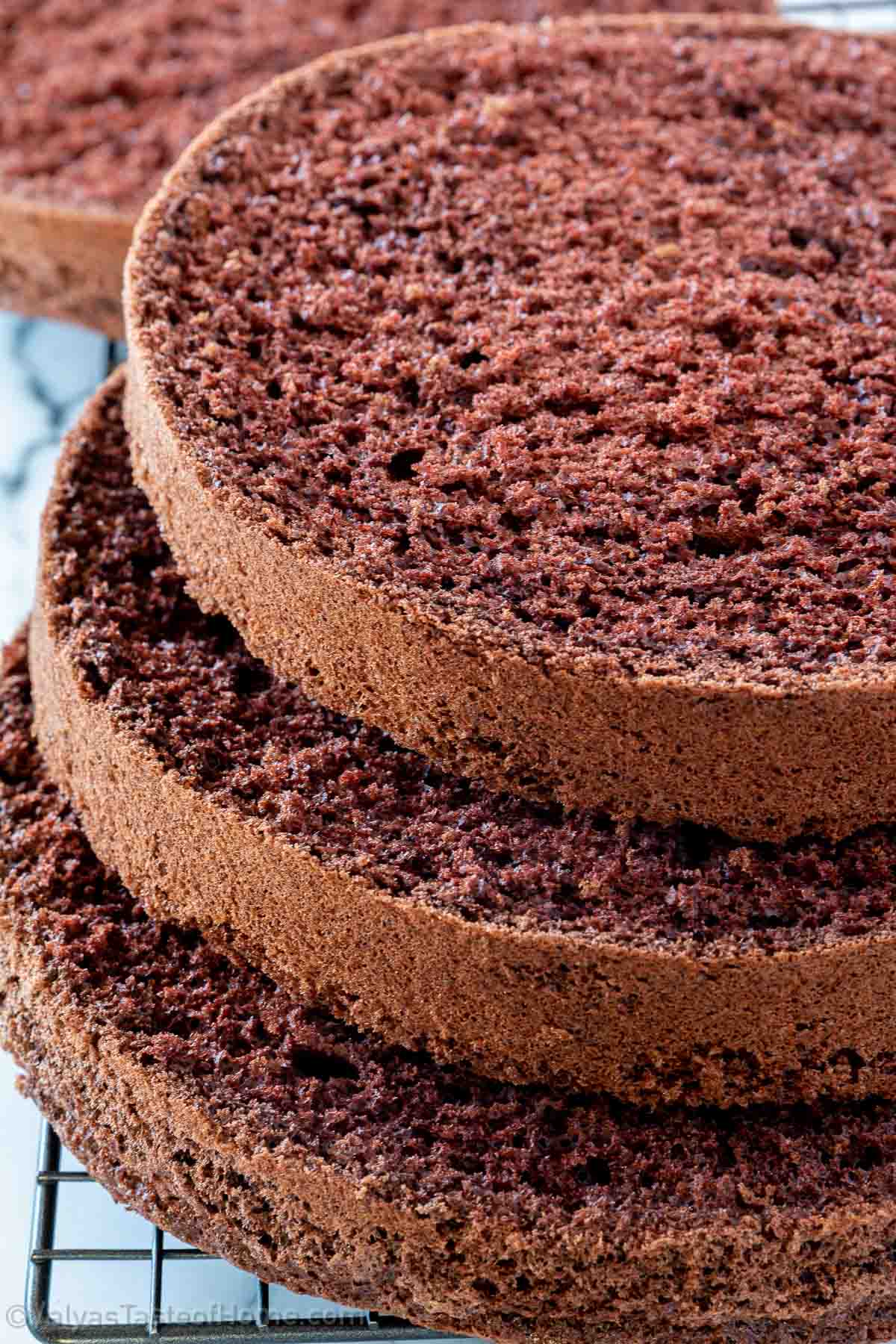 chocolate sponge cake