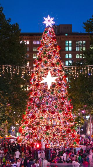 christmas lights northern beaches sydney