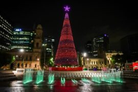 christmas tree lights near me adelaide