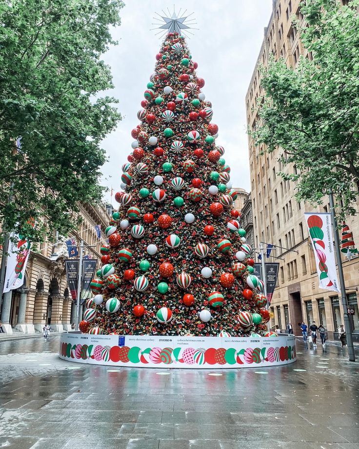 christmas tree sydney