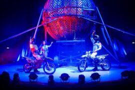 circus adelaide