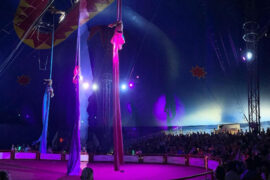 circus rosehill sydney