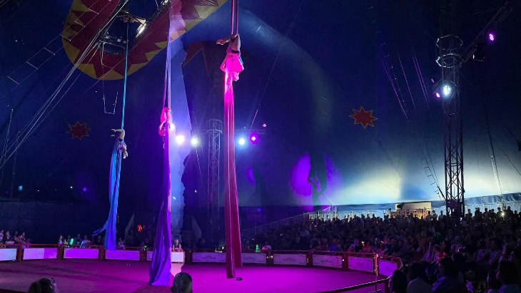 circus rosehill sydney