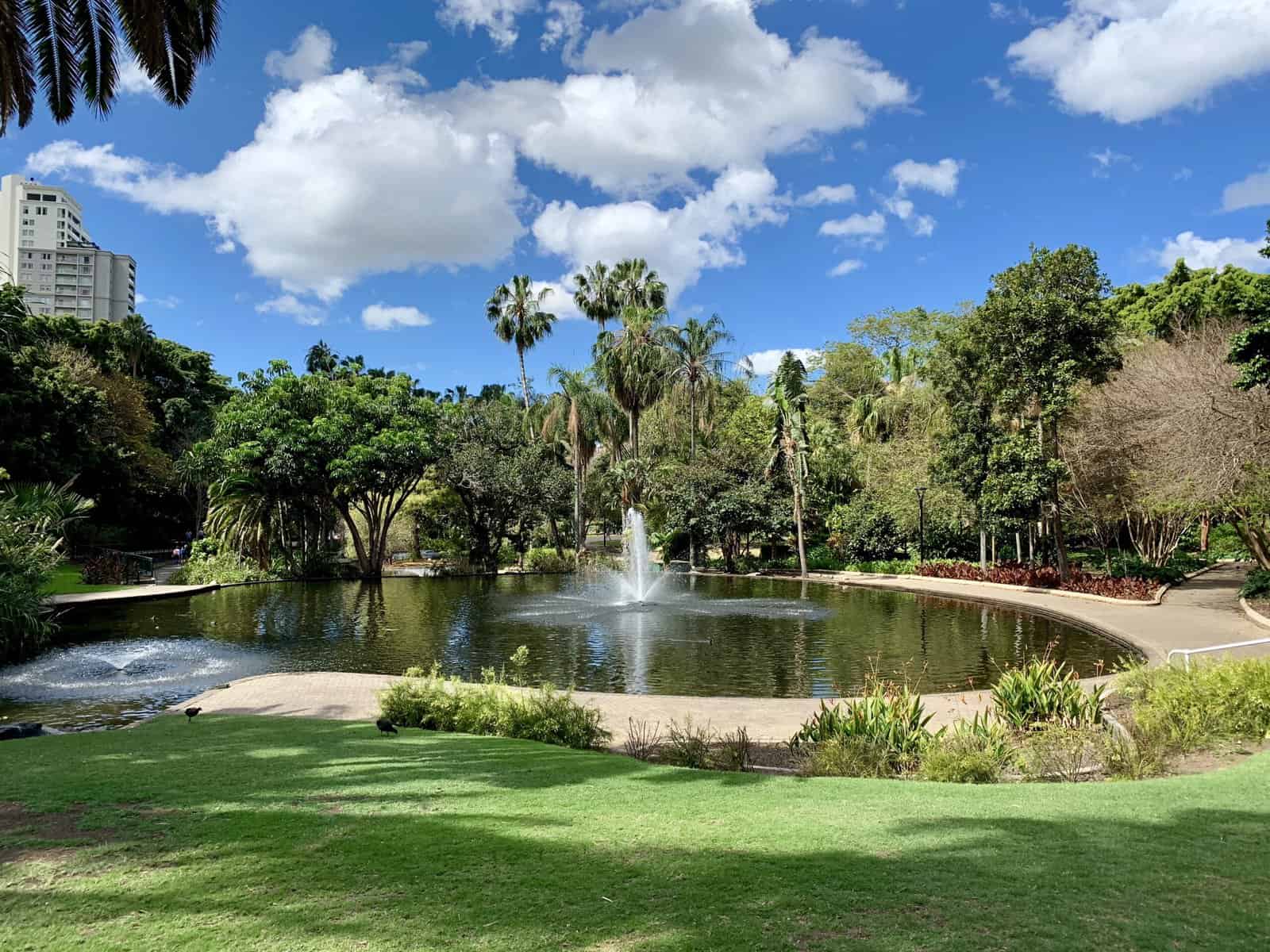 city botanic garden brisbane