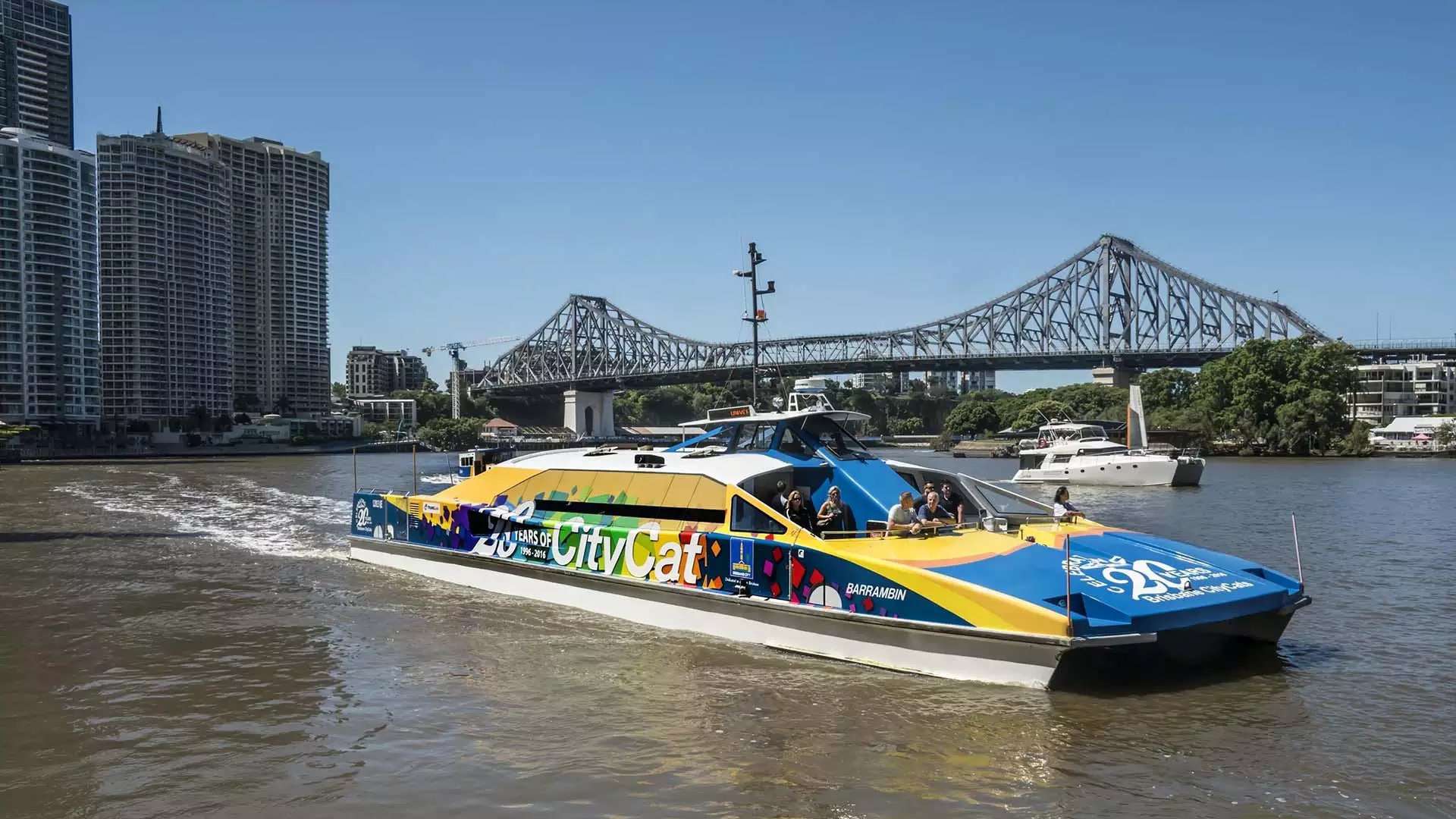 city cat brisbane australia