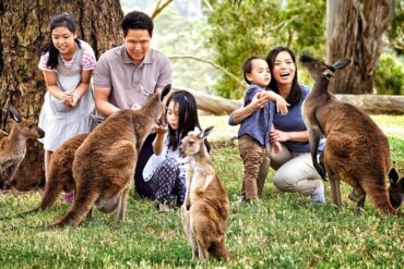 cleland wildlife park adelaide