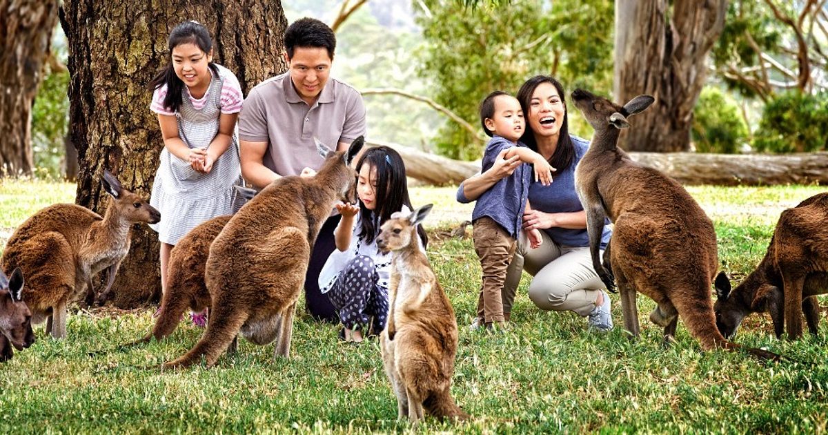 cleland wildlife park adelaide