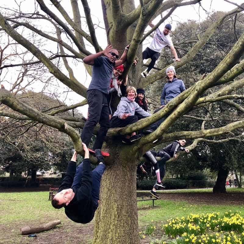 climbing a tree