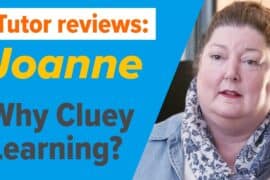 cluey reviews