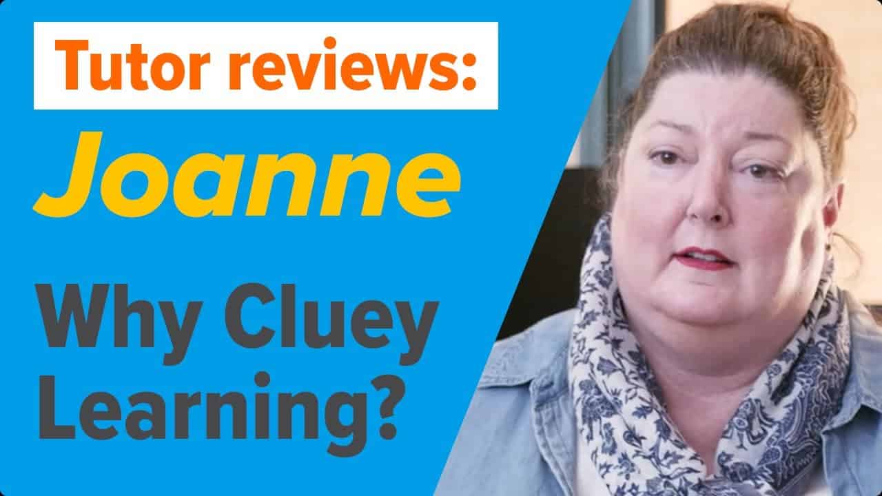 cluey reviews