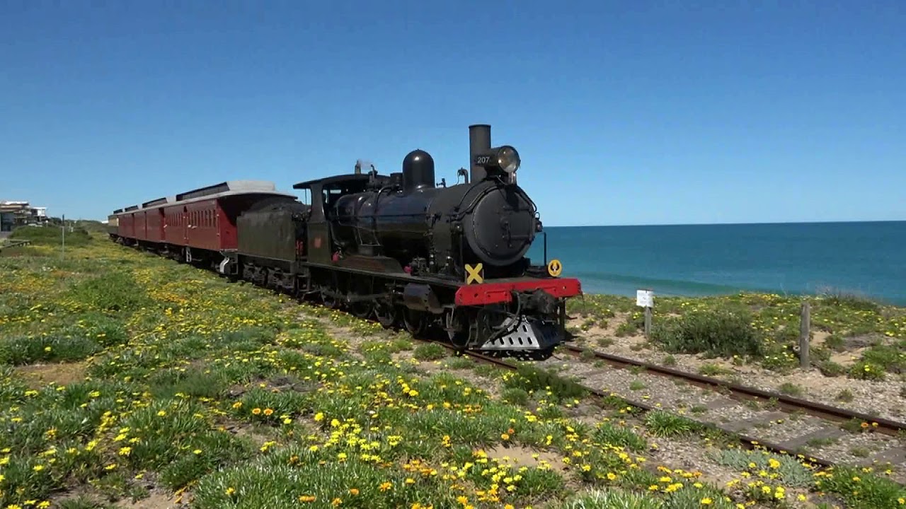 cockle train