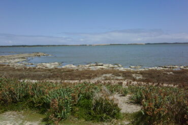 coorong park