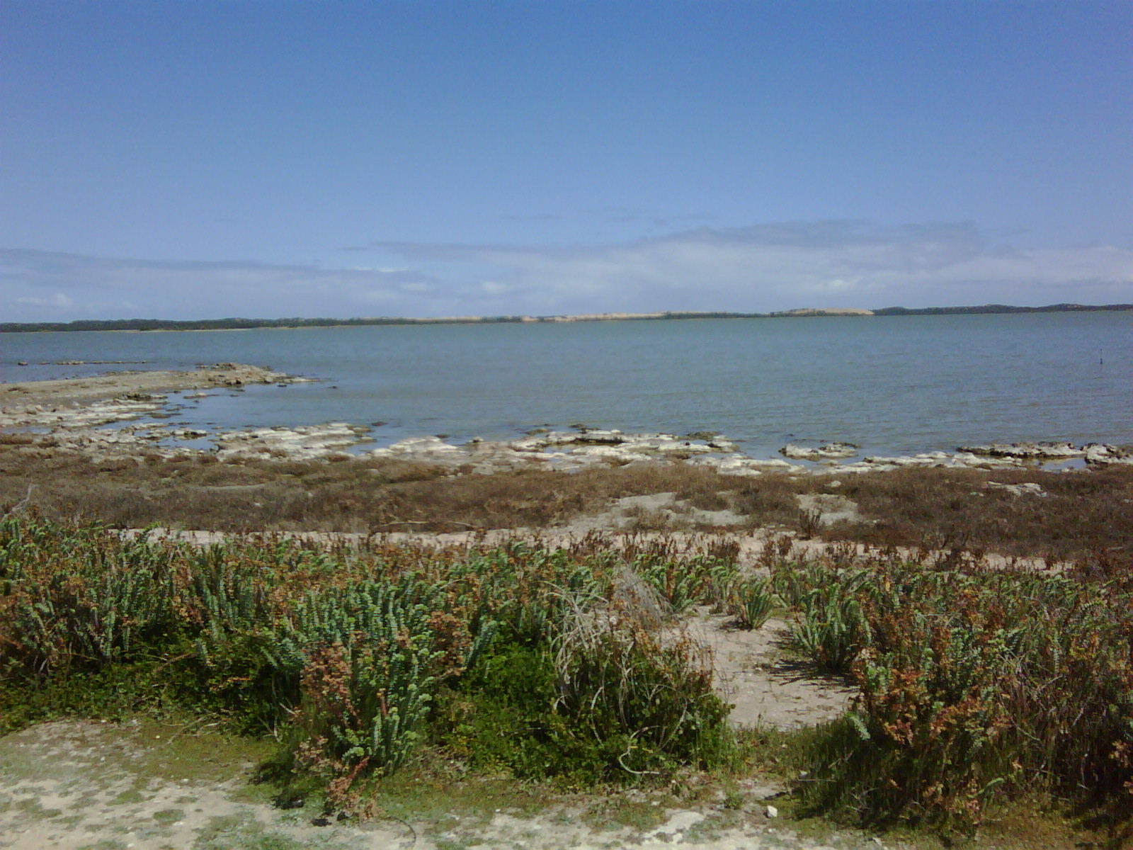 coorong park