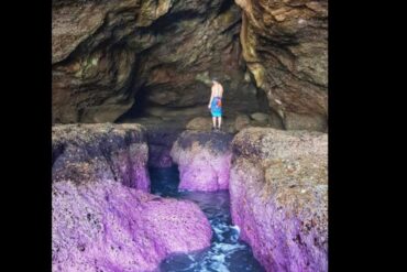 cotton candy caves sydney