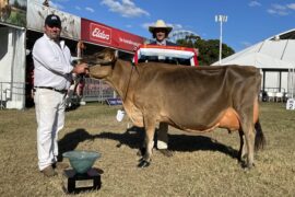 cow farm in sydney