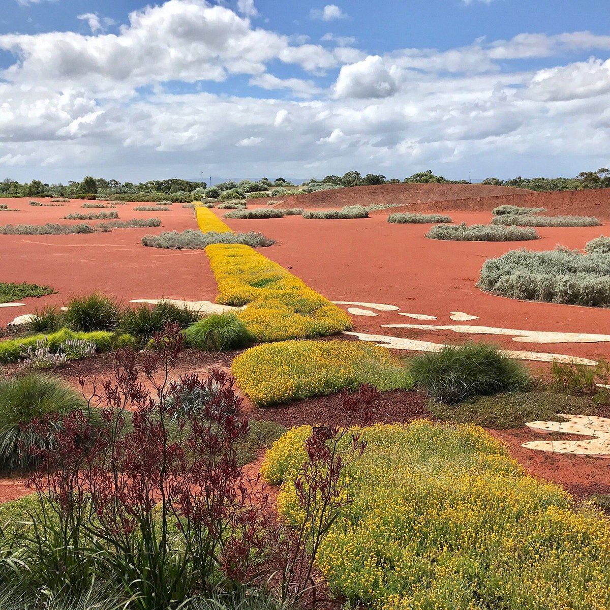 cranbourne botanical garden