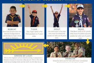 cubs scouts age