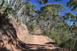 cudlee creek australia