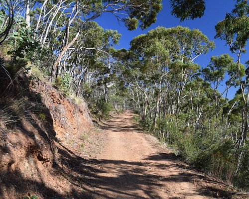 cudlee creek australia